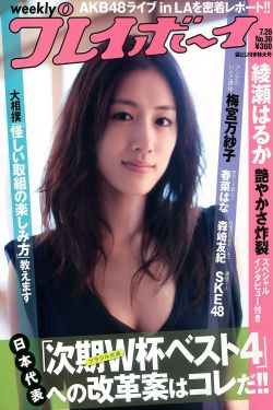 辣妈正传2013